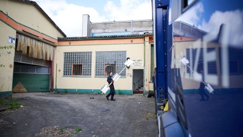 Razzia gegen Cannabis-Bande: Großplantagen entdeckt