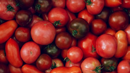 Tomatenbande kassiert fette EU-Gelder, ohne je eine Tomate anzubauen