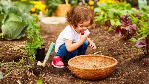 Pflegen, naschen, säen: Warum Gartenarbeit im Juni besonders viel Spaß macht