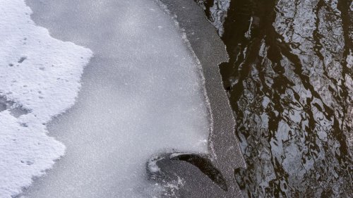 Zehnjährige bricht in zugefrorenem Teich ein – 31-jähriger Großvater stirbt bei Rettungsversuch