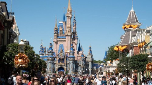 Schwarzbärin unternimmt Ausflug nach "Disney World" – Fahrgeschäfte müssen vorübergehend schließen