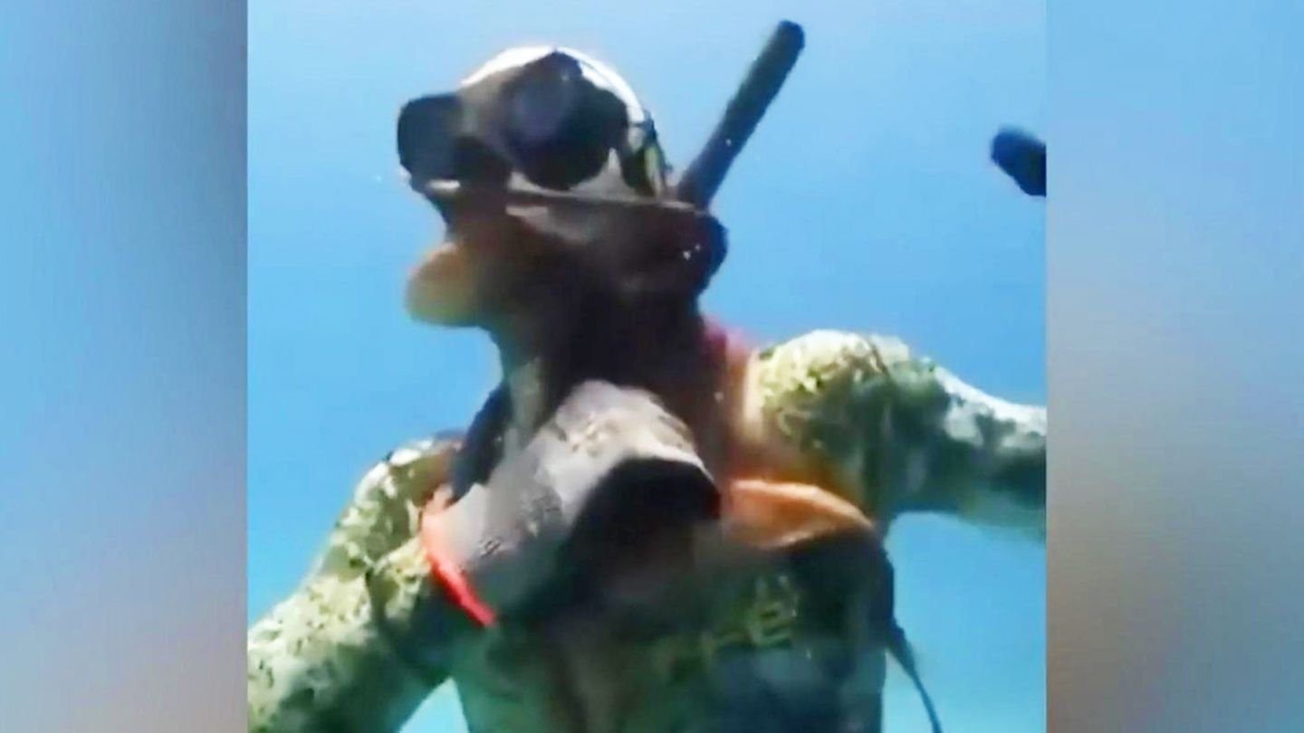 Taucher stört Oktopus – und bekommt harte Lektion