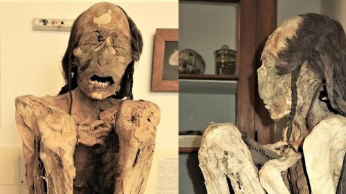 Vor 1000 Jahren kaltblütig ermordet: Forscher lösen Rätsel um Mumien