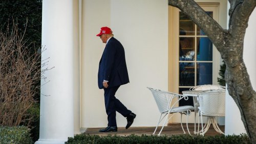 Wie Donald Trump zu Hause in den Umfragen dasteht