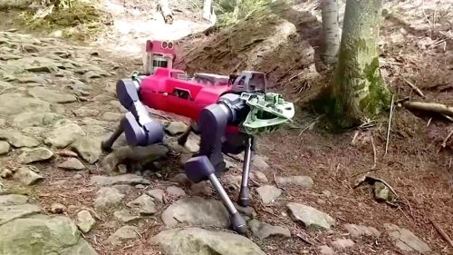 Skurriler Roboter-Hund: Vierbeiner mit Tastsinn erkundet die Alpen