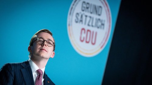 "Das Scheitern eines AfD-Verbotsverfahrens wäre eine große Gefahr"