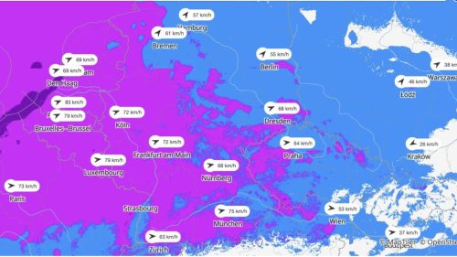 Amtliche Wetterwarnungen: Diese Karten zeigen, wo die stärksten Sturmböen des Tages erwartet werden