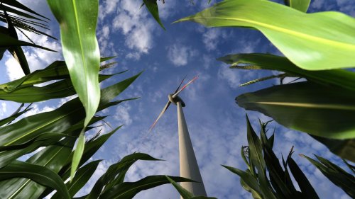Wir müssen uns an den Klimawandel anpassen. Aber wie gut sind Europa und Deutschland dafür gerüstet?