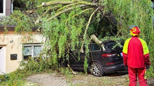 Sturm über Thüringen: Baum kracht in Bett mit schlafendem Kind
