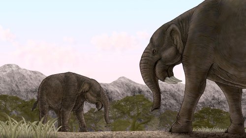 Was der Sensationsfund aus Erding über Urzeit-Elefanten aus Deutschland verrät