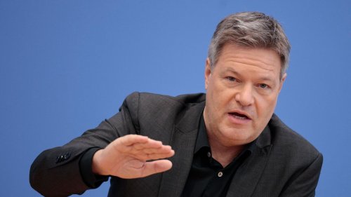 Grünen-Fraktionschefin: Robert Habeck wechselt in den Auswärtigen Ausschuss