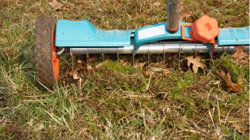 Gartenarbeit im April: Ran an Rasen, Terrasse und die Beeren!