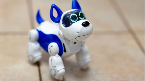 Roboterhunde für Kinder: Diese Features besitzen ferngesteuerte Haustiere