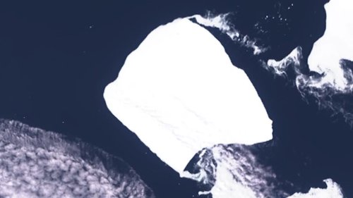 Weltgrößter Eisberg hat sich vom Meeresboden gelöst und treibt Richtung Afrika