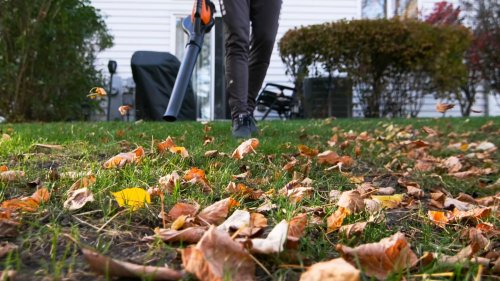 Gartenarbeiten im Herbst – darum sollten Sie keinen Laubbläser verwenden