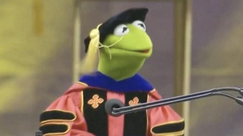 Kermit hält bewegende Uni-Abschlussrede: "Springt gemeinsam!"