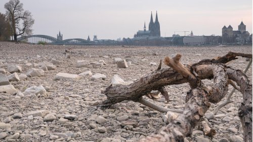 "Vater Rhein" verlässt sein Bett: Deutschlands längster Strom fällt trocken