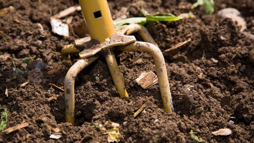 Was ist eine Gartenkralle und wie setzt man sie richtig ein?