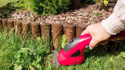 Gras- und Strauchschere inkl. Teleskopstiel mit 39 % Rabatt: Top Garten-Deals am Montag