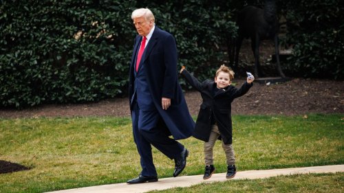 Trump spielt Babysitter für vierjährigen Mini-Elon – Mutter Grimes ist besorgt