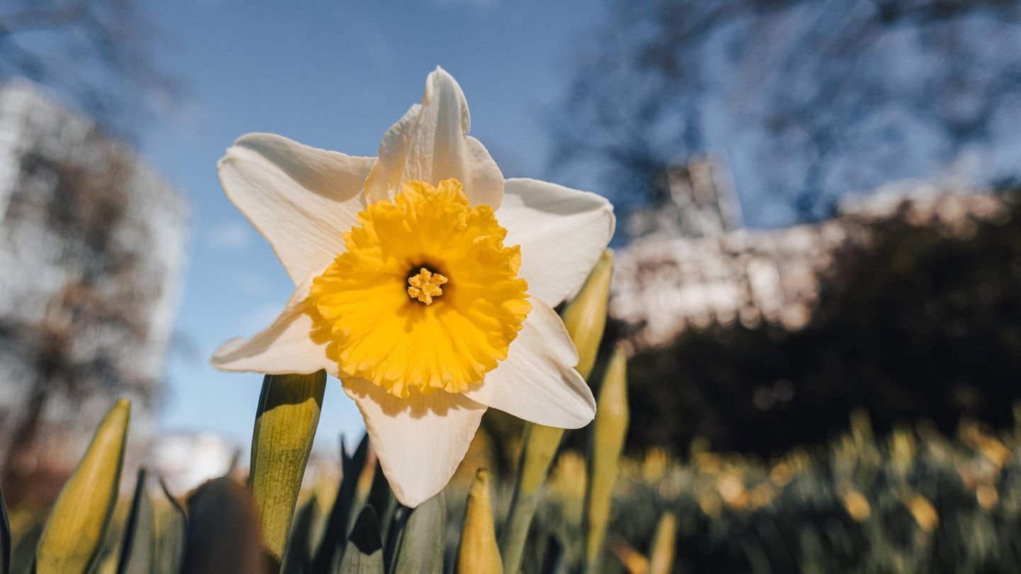 Warum heute (schon wieder) Frühlingsanfang ist