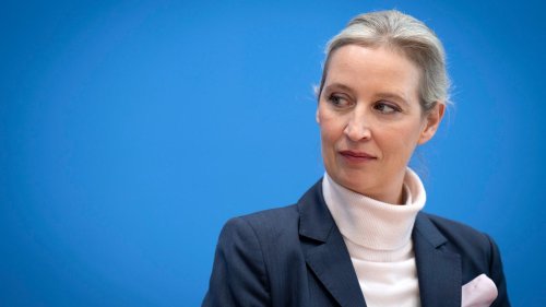 AfD überweist in Spendenaffäre 2,35 Millionen Euro an Bundestag