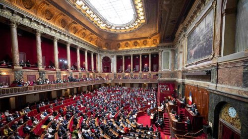 Frankreich nimmt "Freiheit zur Abtreibung" in die Verfassung auf 