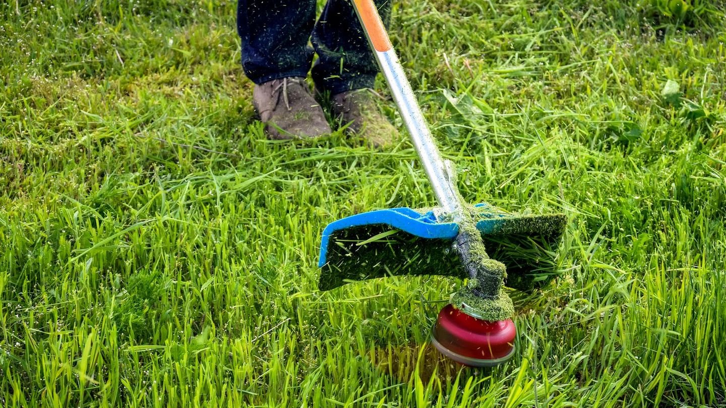 Worx Akku-Rasentrimmer heute mit Top-Rabatt ergattern: Garten-Deals am Mittwoch