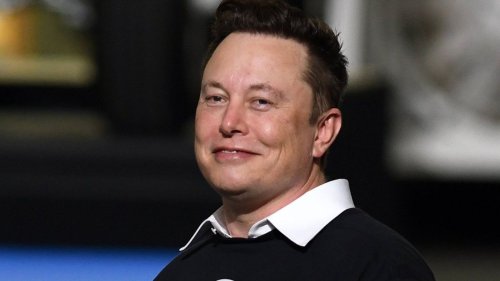 Elon Musks Weg ins Hirn: In 6 Monaten will er den ersten Gedanken-Chip an Menschen testen