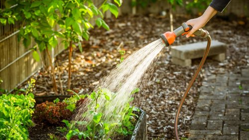 Gartenarbeit im Mai: Diese Tools für Beete und Rasen sind jetzt wichtig