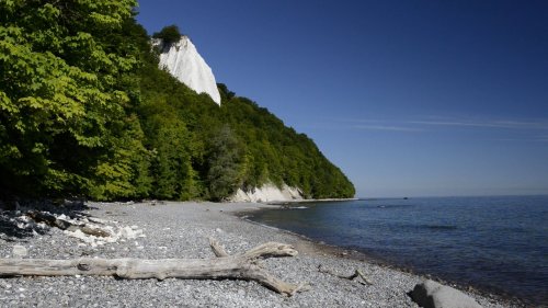 Berühmter Königsstuhl auf Rügen: Romantische Kreidefelsen den ganzen Sommer gesperrt