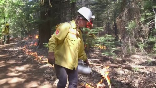 Feuer mit Feuer bekämpfen: Landbesitzer zündeln – um sich selbst zu schützen