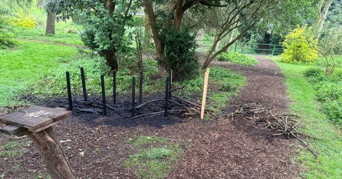 Hanley Park scene of devastation after vandals set hedgerow alight