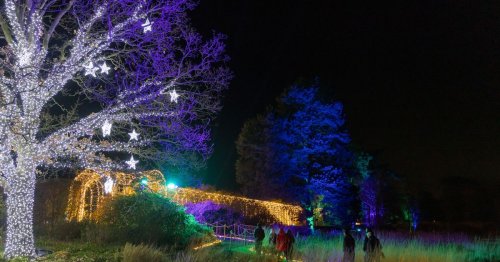 Sneak peek inside Trentham's Christmas light trail as it returns for 2022