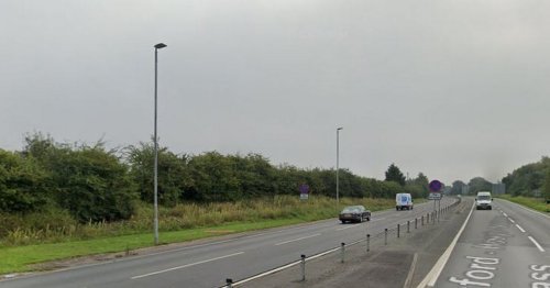 Driver killed in A500 smash