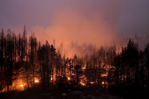 US plans $50B wildfire fight where forests meet civilization | AP News