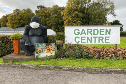 Going ape over stolen gorilla statue: Owner in Scotland uses social media to ‘Bring Gary Home’