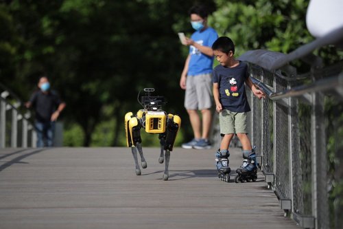 Social Distancing Robot Dogs Now Patrolling Public Spaces
