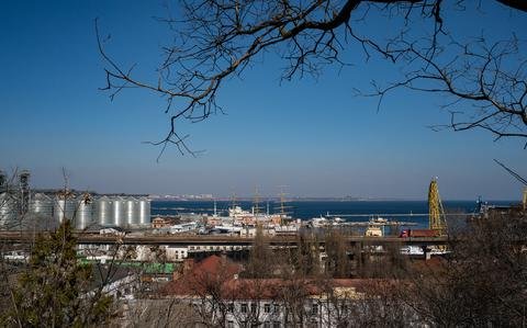 Calls grow for Russia to free up Ukraine ports for grain exports