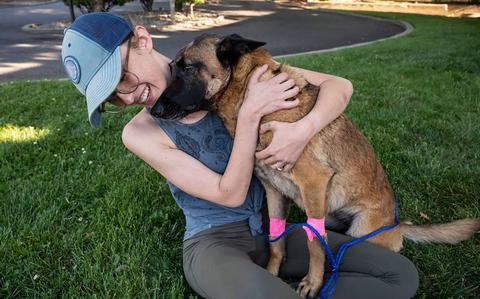 Dog goes home after saving California woman from mountain lion attack
