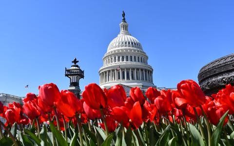 It’s time for age limits for members of Congress