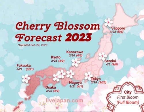 Japan Cherry Blossom 2023 Forecast When Where To See Sakura In Japan japan-cherry-blossom-2023-forecast-when-where-to-see-sakura-in-japan