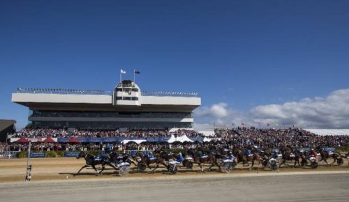 Ticket sales on hold as Addington Cup Week faces first ever spectator-less event