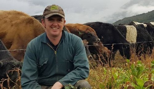 Daylight savings on the dairy farm: 'The cow's wonder why you're an hour early'