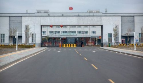 New Zealand buying more from Chinese region linked to forced labour