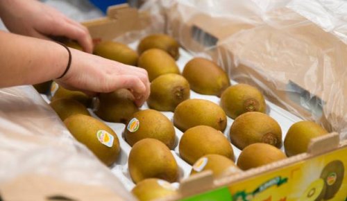 Zespri kiwifruit tests positive for Covid-19 in China