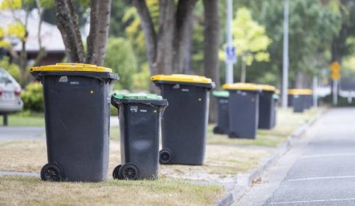 Why putting doggy poo-poo in the green bin is a big no-no
