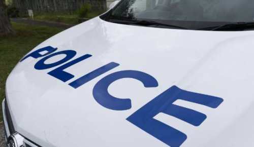 Police investigating after body found in Wairau Valley, Auckland