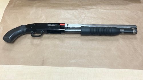 Shotgun and ammunition seized after police stop van with false plates in Manurewa