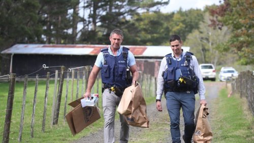 Police investigating whether pair found dead on rural Auckland property were killed by ram